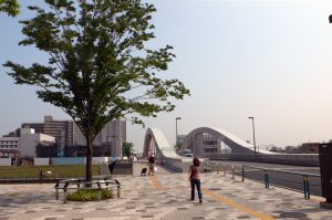 Tokyo Infrastructure 009 Shintoyohashi Bridge