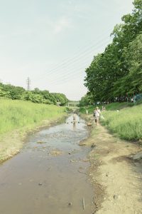 東京インフラ059 野川自然再生事業