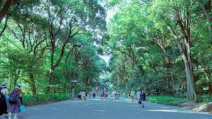 TOKYO INFRASTRUCTURE 072 The Innner and Outer Garden of Meiji-jingu Shrine, Yoyogi Park and Shinjuku Imperial Garden