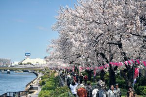 東京インフラ037 隅田公園