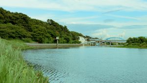 東京インフラ061 国分寺崖線