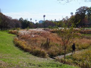 Tokyo Infrastructure 059 Nogawa River Nature Restoration Project