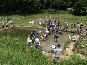 東京インフラ059 野川自然再生事業