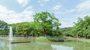 東京インフラ072 明治神宮内苑・外苑、代々木公園、新宿御苑